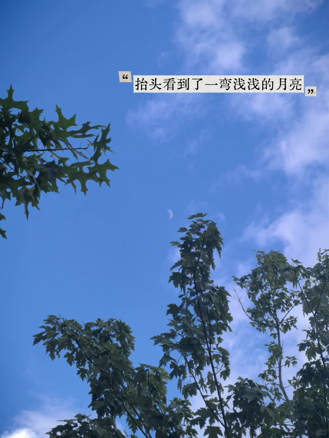 看到恢复活力等宣传词时,怎样找到具体服务说明配图